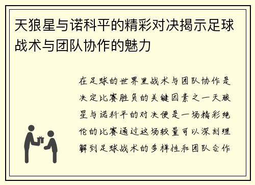 天狼星与诺科平的精彩对决揭示足球战术与团队协作的魅力