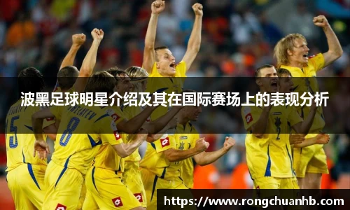 波黑足球明星介绍及其在国际赛场上的表现分析